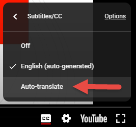 Step 5 Select Auto-translate